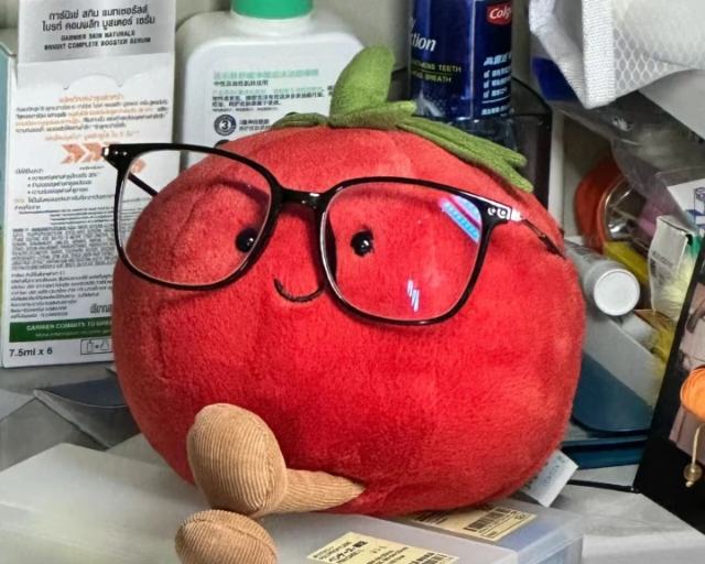 布里斯班蹲蹲ensuite室友～獨衛