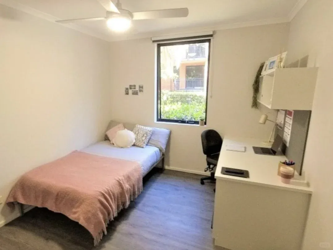 雪梨帶🏠蹲蹲室友，人均400+pw