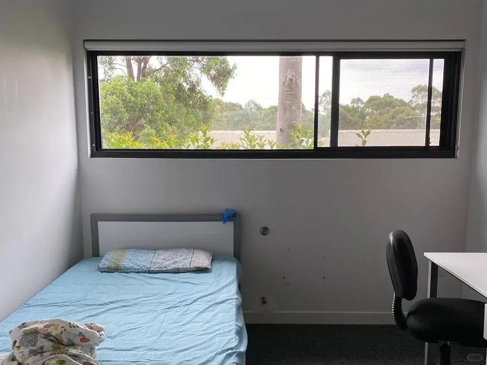 在悉大預算不高，帶🏠蹲蹲女室友！
