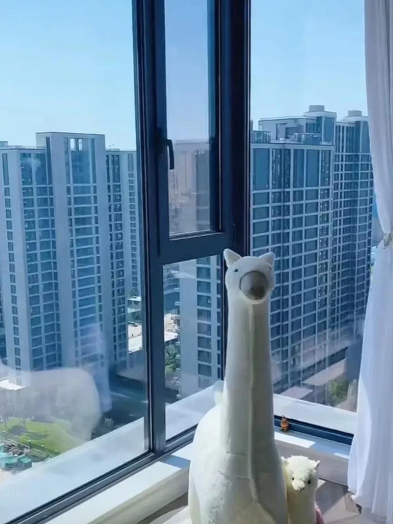 謝菲爾德，洗衣機，and 中文前台～