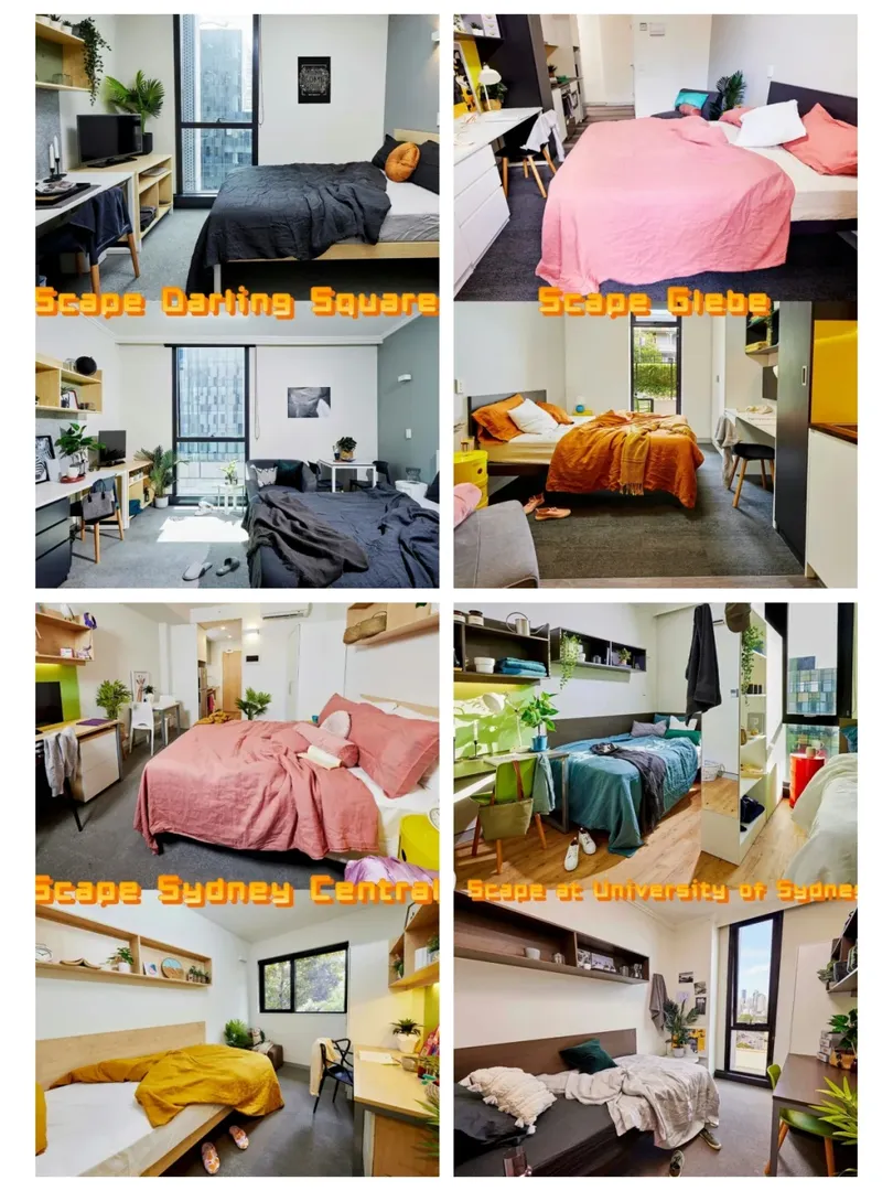 澳洲25S1開放學生公寓開放合集！🏠🎓