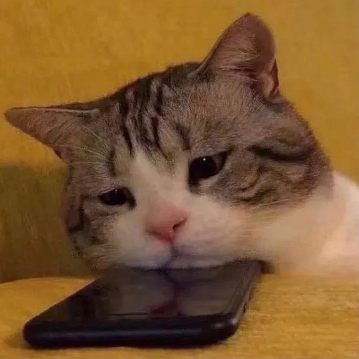放過我吧……留子的命也是命😩