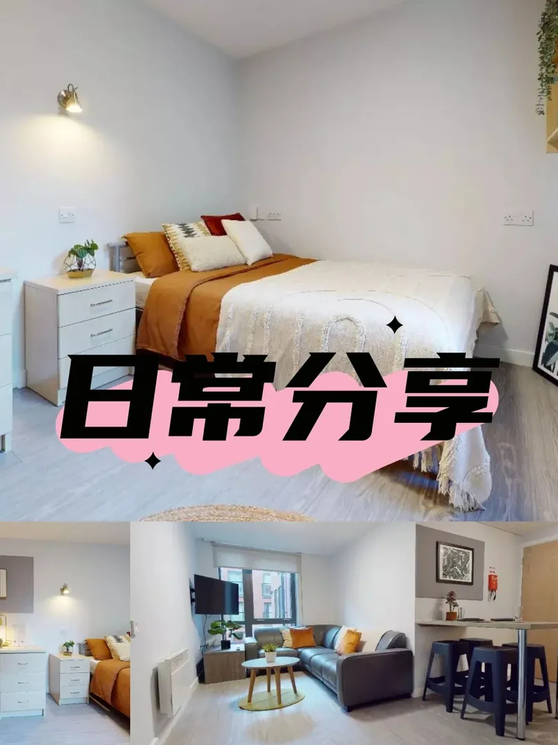🌟謝菲附近來報恩的🏠