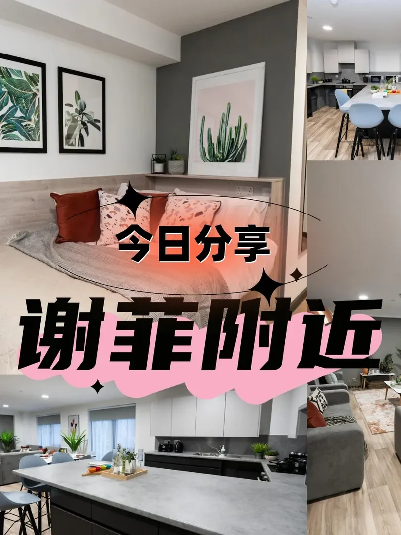 🇬🇧謝菲爾德留子👀過來了