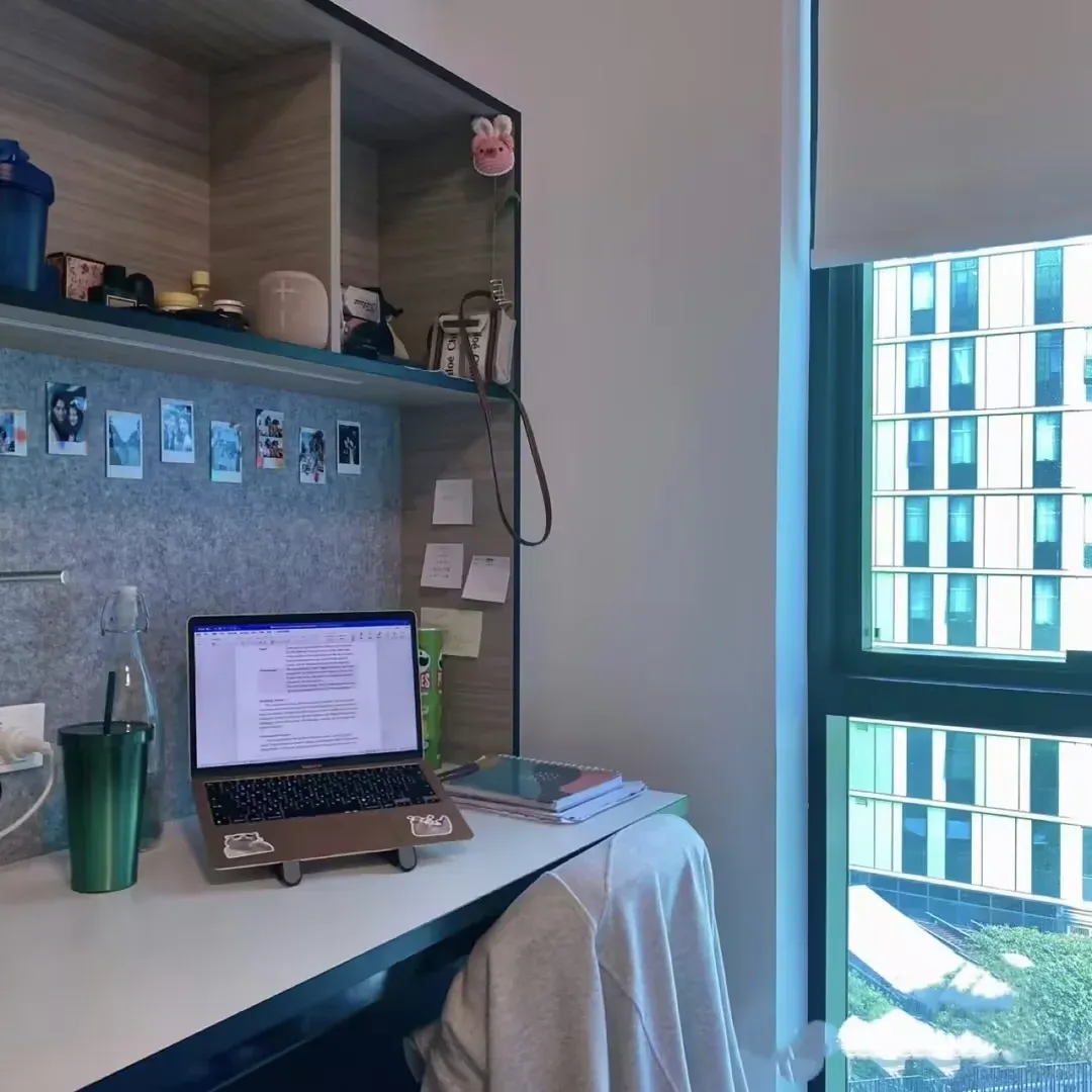 布里斯班窗外的風景 