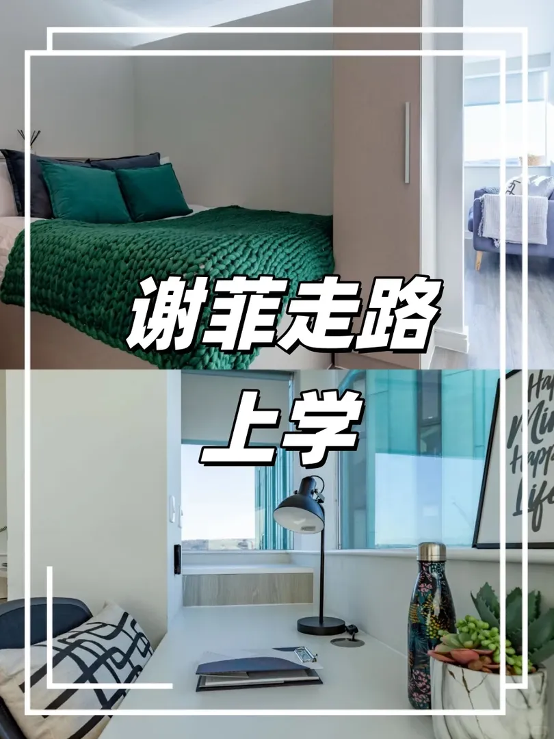 Sheffield的留子隊友們 你們都在哪裡！