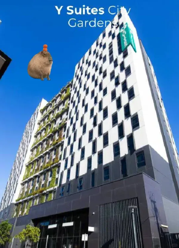 🇦🇺聽說雅居明年2月～5月的開放預訂了