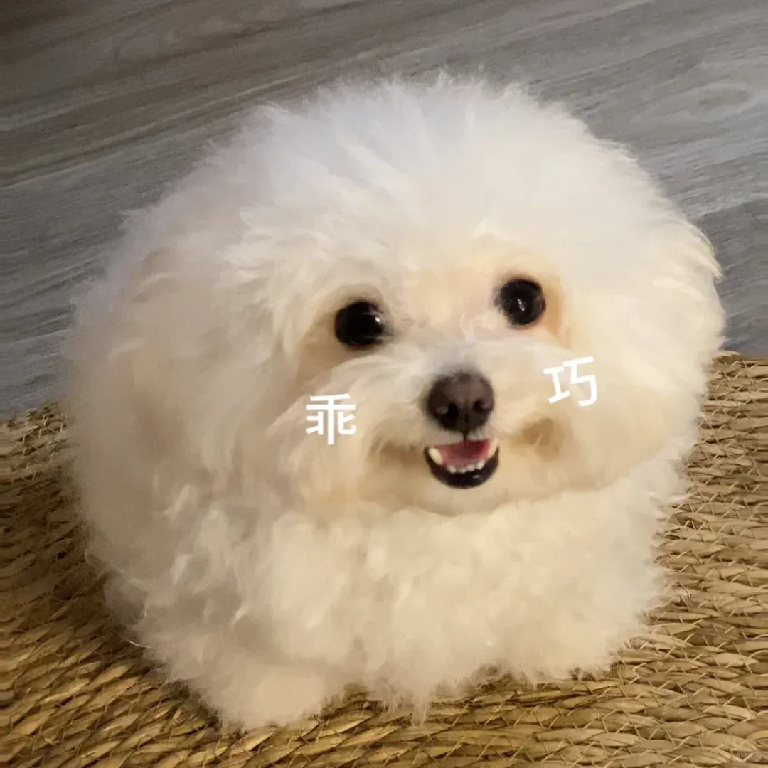 英國25fall找搭子