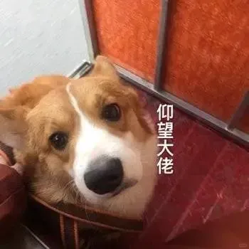 澳洲留學生兼職指南：從初級到創業，打工人的打工魂！