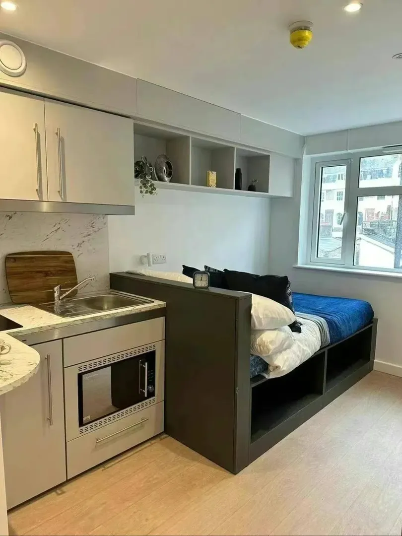 🧱London帶空調和地暖的studio ！