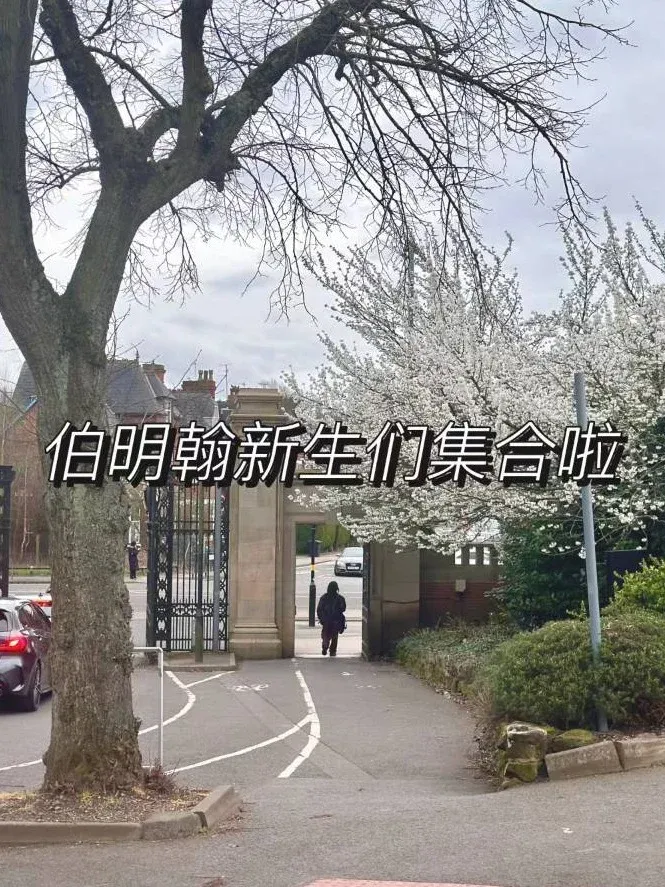伯明罕25s1蹲搭子