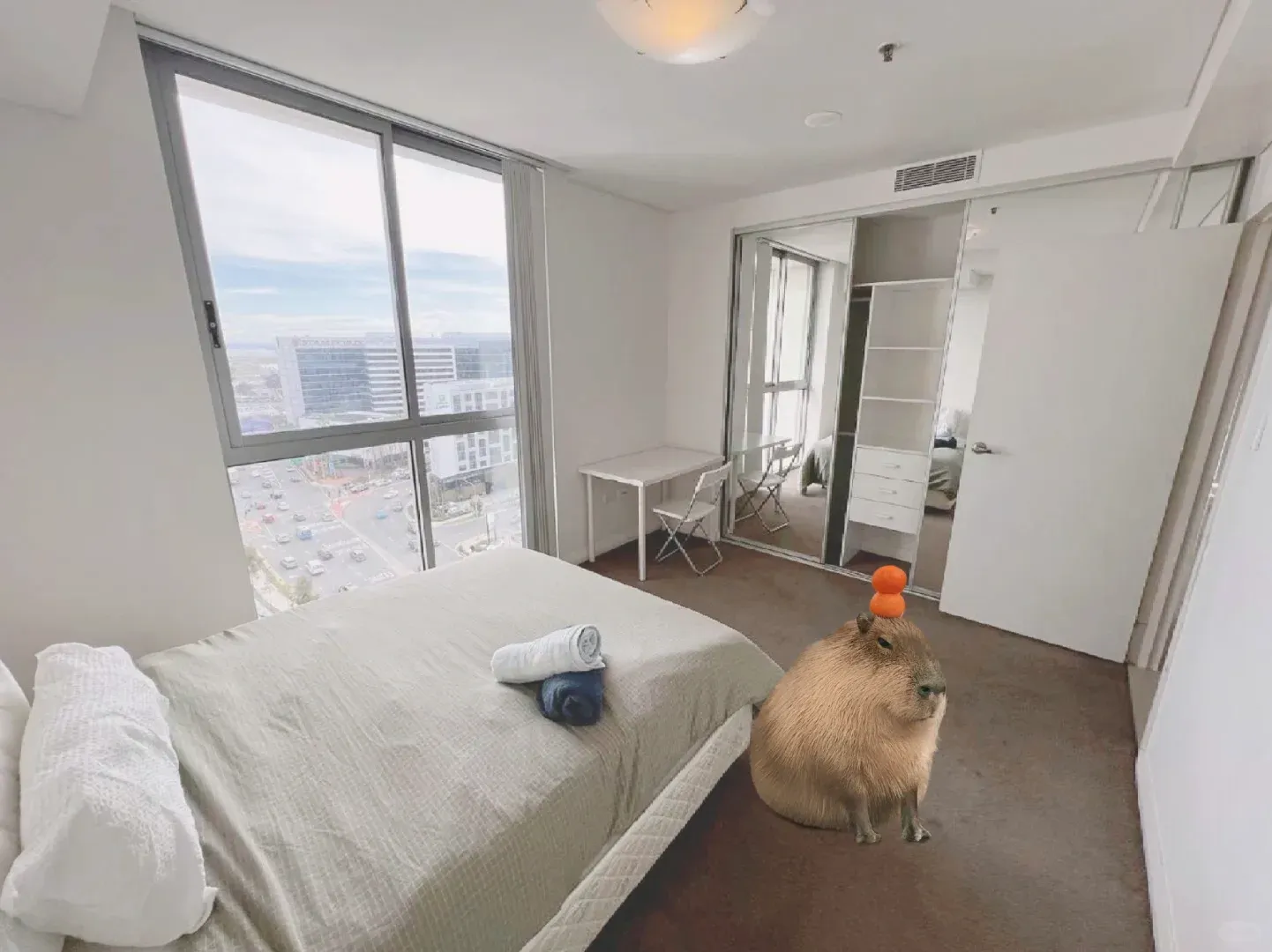 🇦🇺mascot這次就不點讚了吧！
