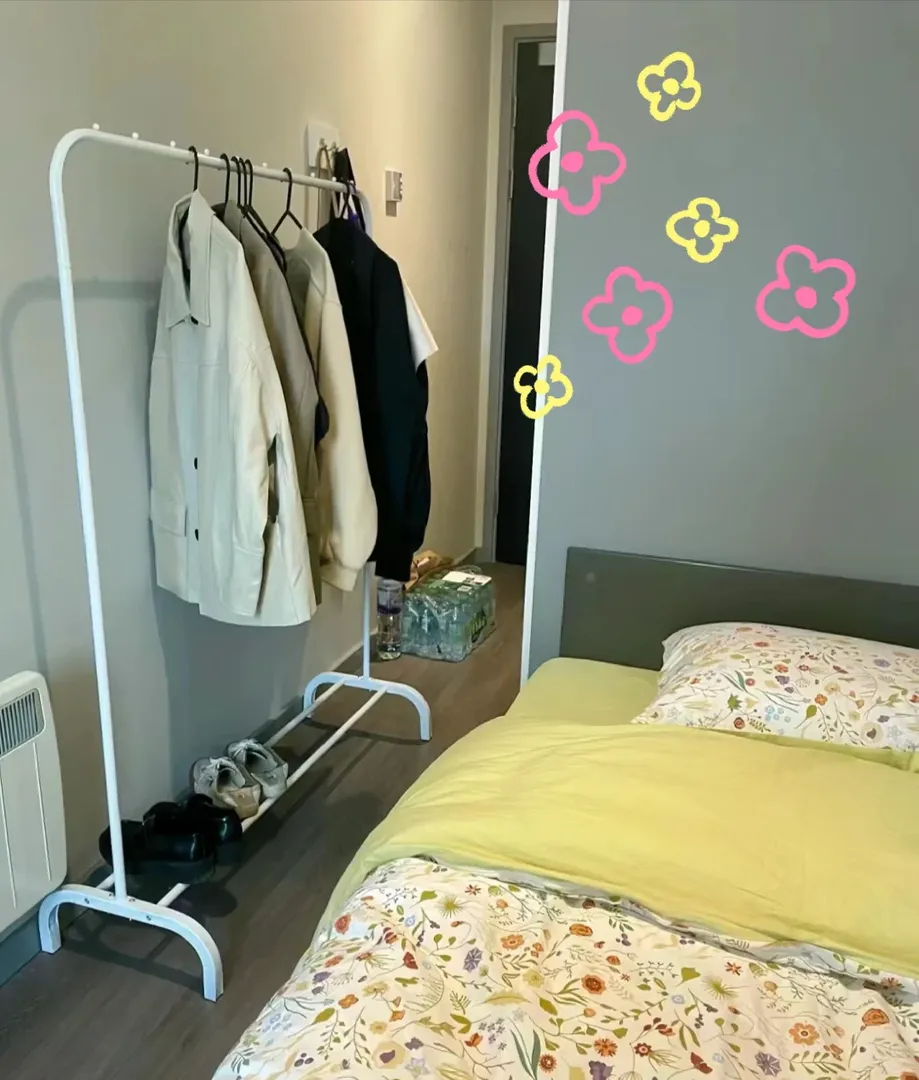 急！幫轉布萊頓studio
