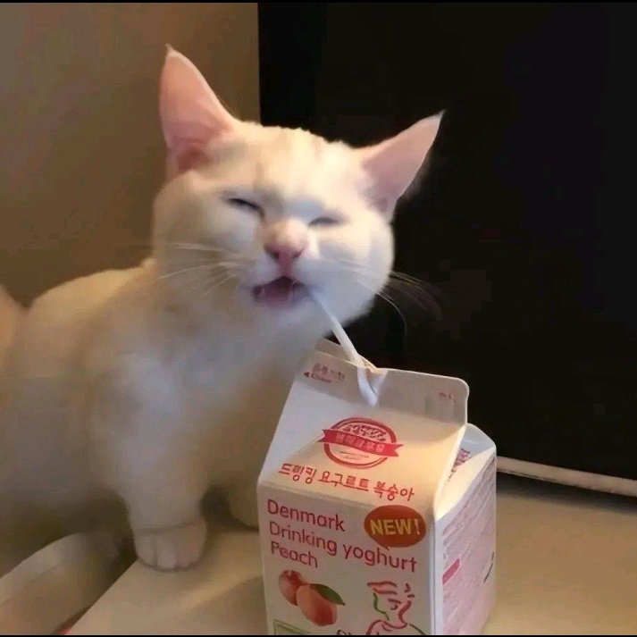 有没有去过诺丁汉歌剧院的宝子～