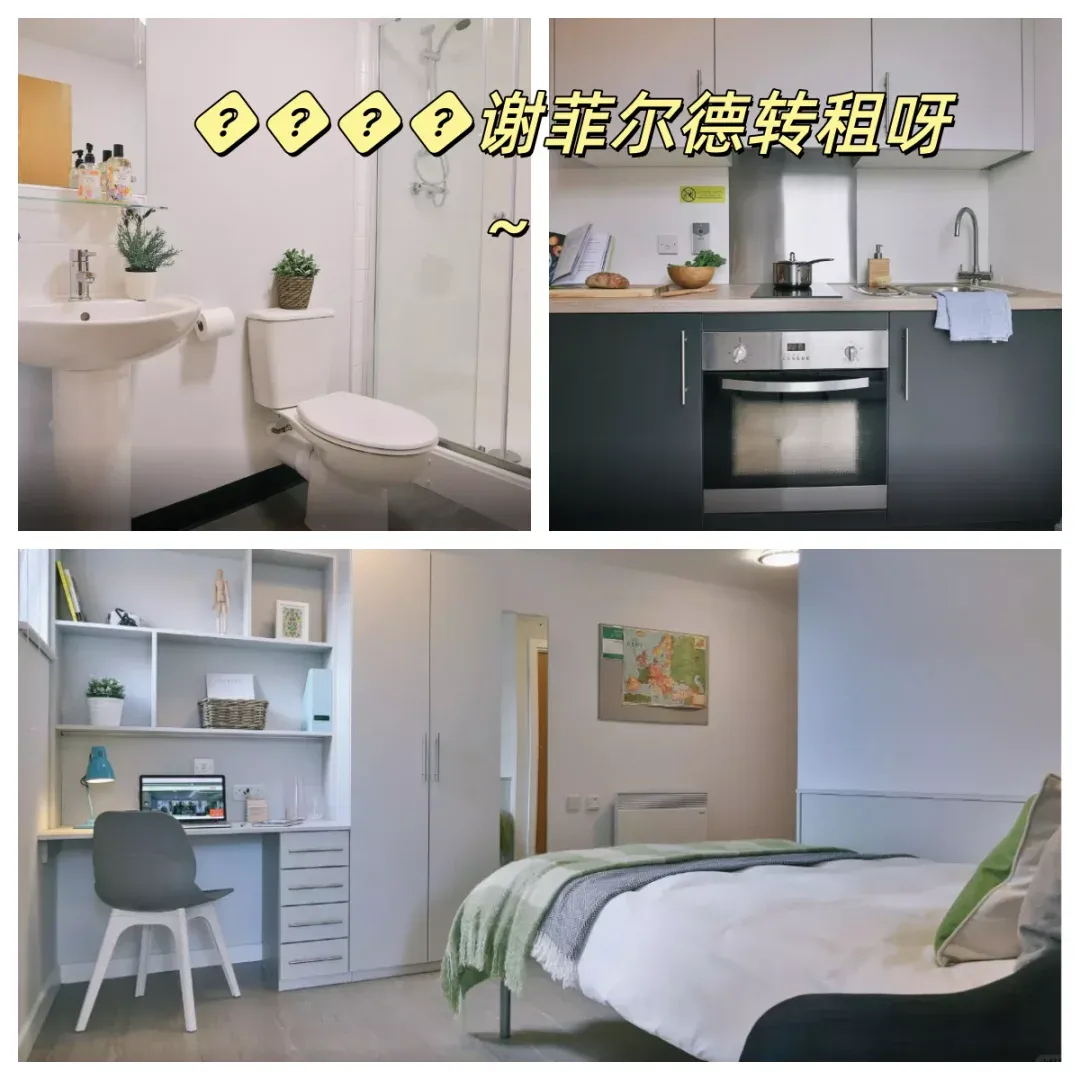謝菲studio！低價轉～