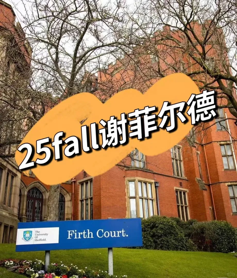 25fall謝菲爾德，驚喜會發芽生長～