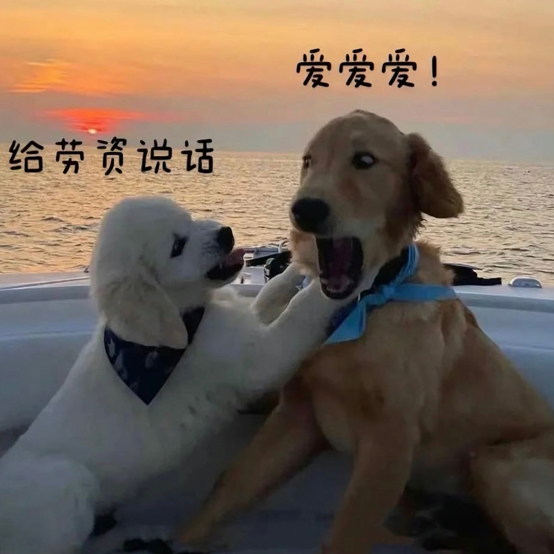 雪梨ultimo可以看到達令港煙花嗎🎆