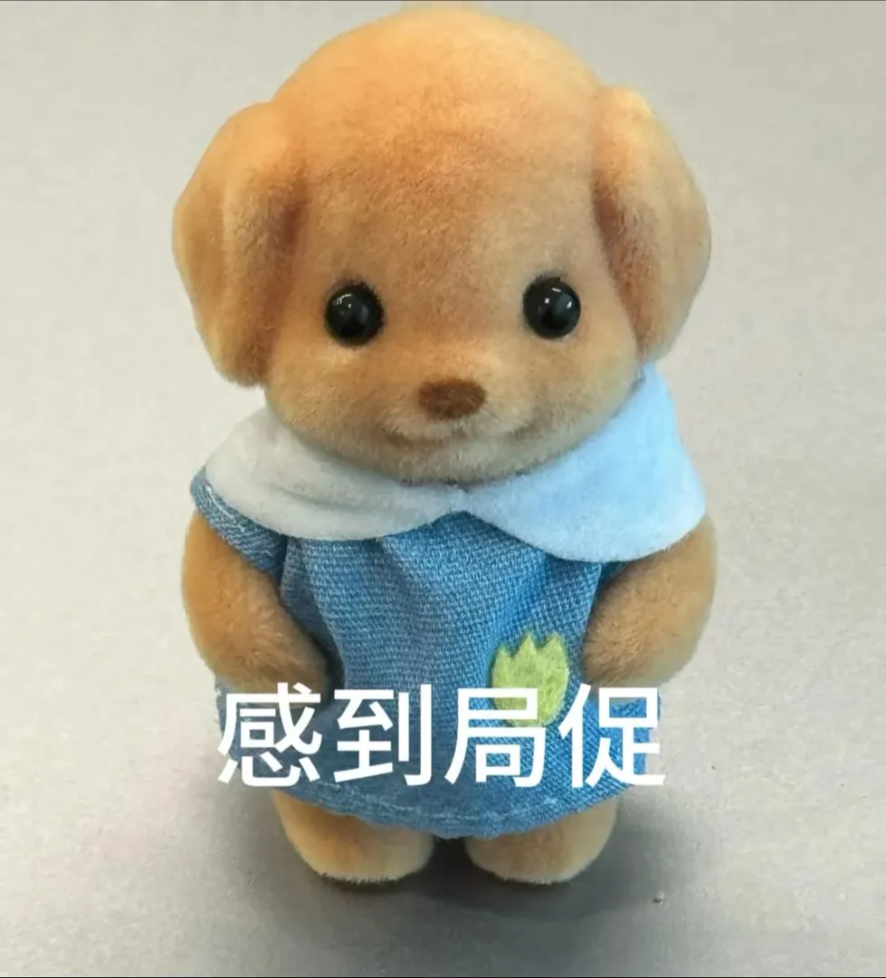 諾丁漢25fall找搭子