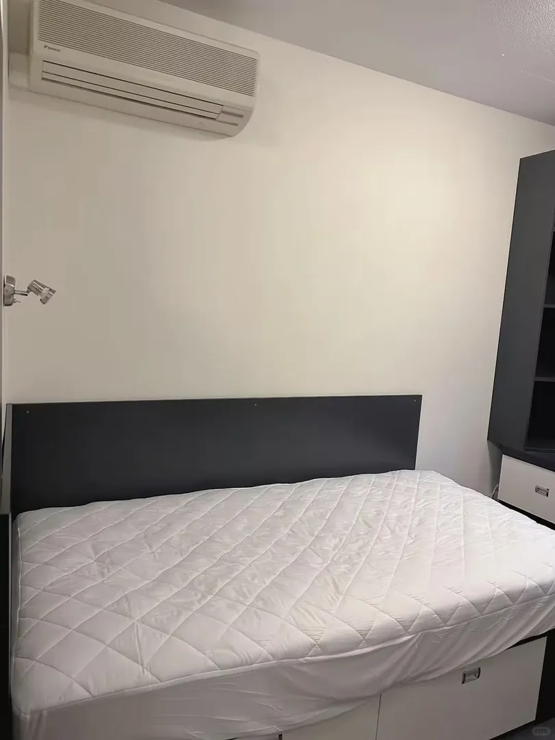 阿德萊德學校對面蹲三個室友