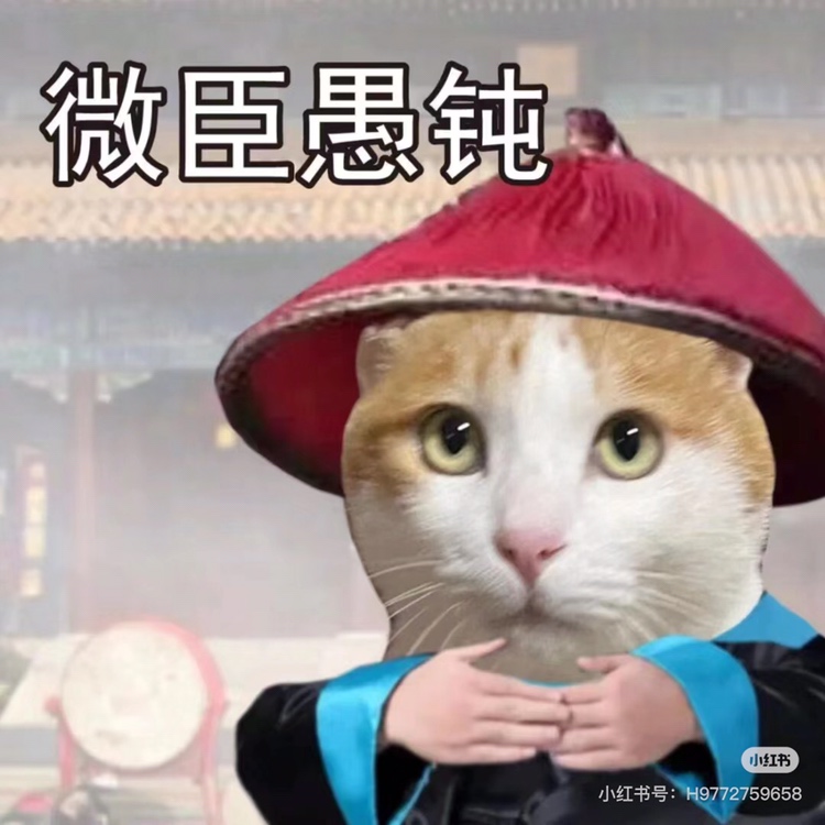 伦敦狗岛，拼室友，东南西都能晒到太阳