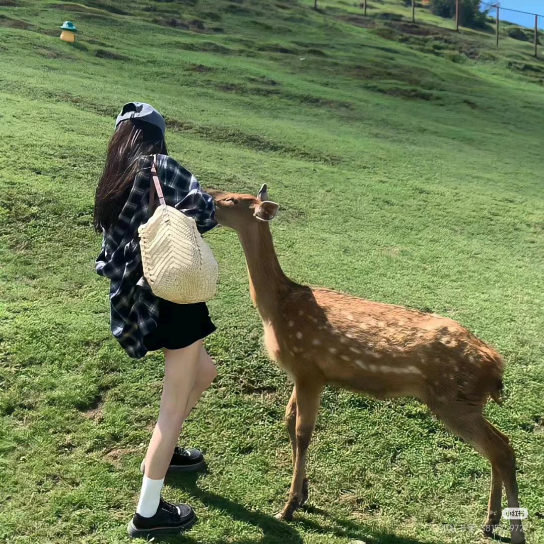 🇦🇺雪梨生活生活費求助！