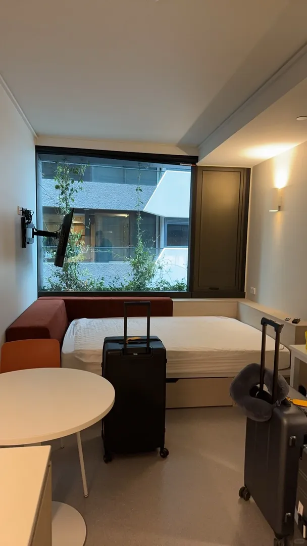 iglu為貓本抗大旗🇦🇺