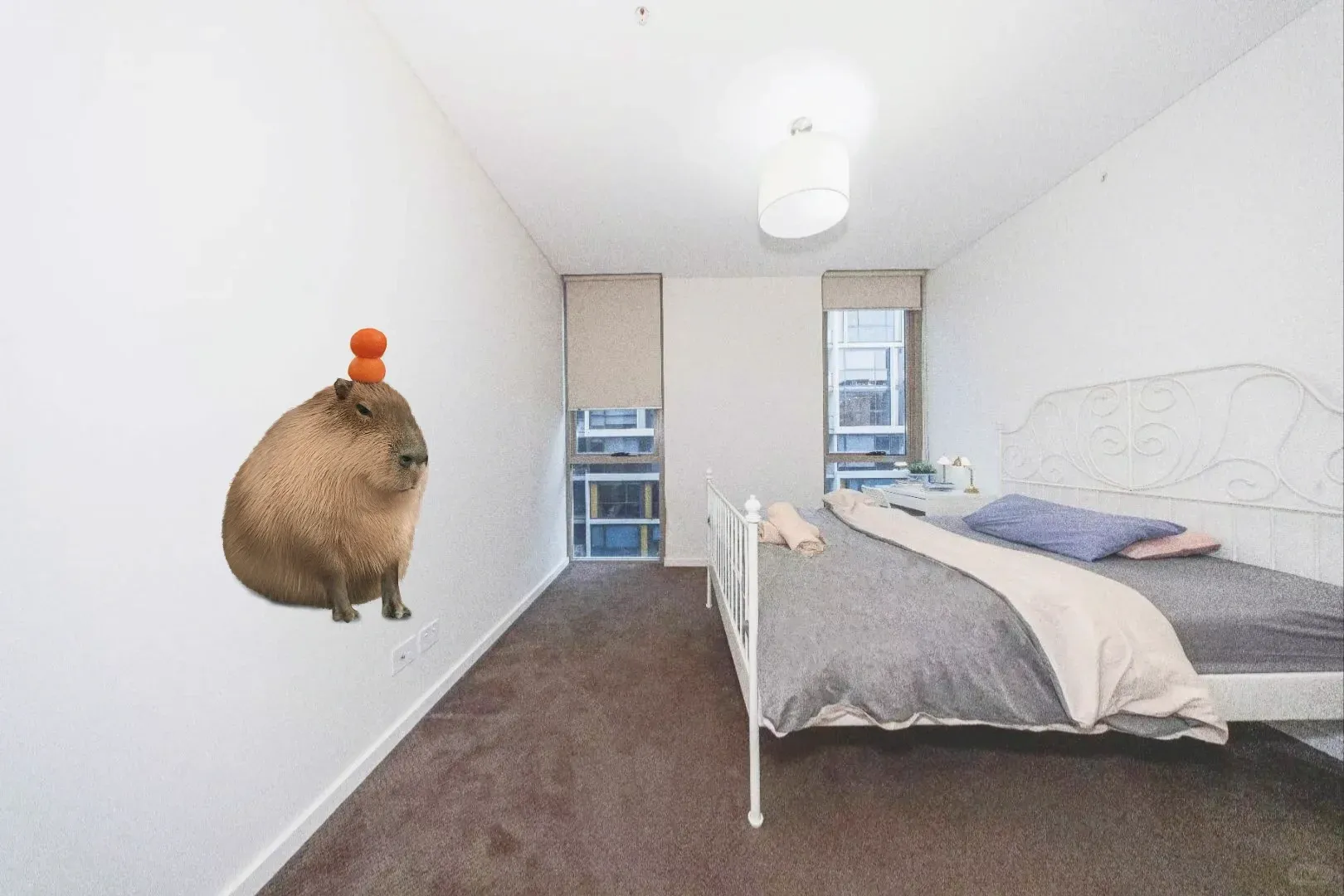 🇦🇺mascot的3b2b不值得一看❓