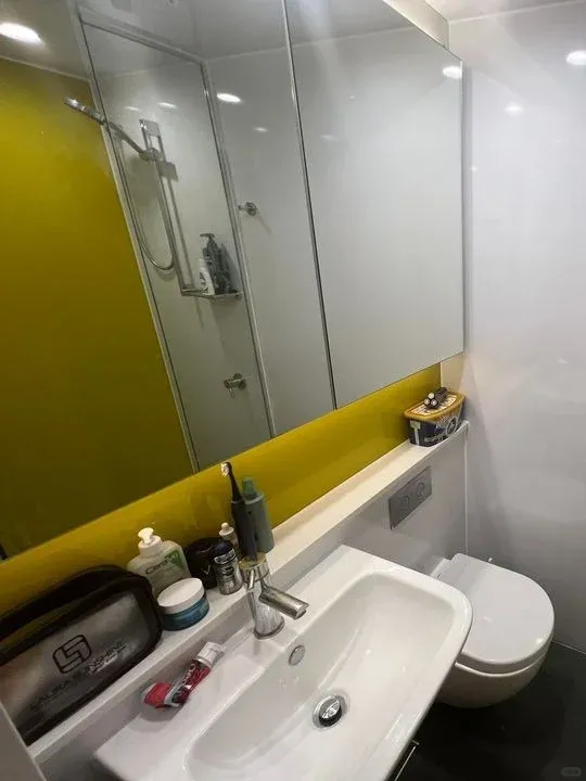 貓本步行兩分鐘到RMIT的studio 水靈靈的轉