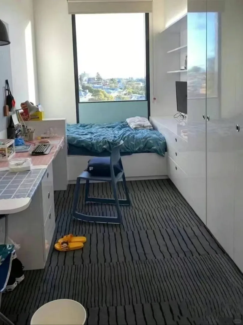 布里斯班明年我自己的studio蹲友友來！
