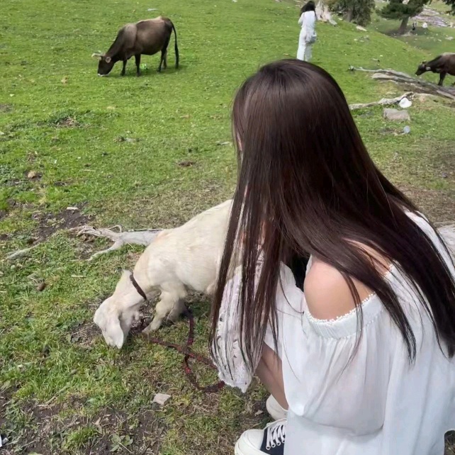 挑戰幫100個同學在澳洲找房