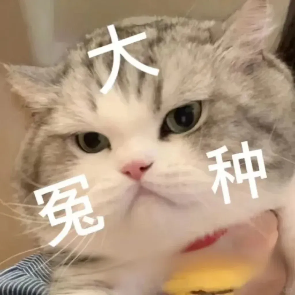紐卡水質也太差了吧 