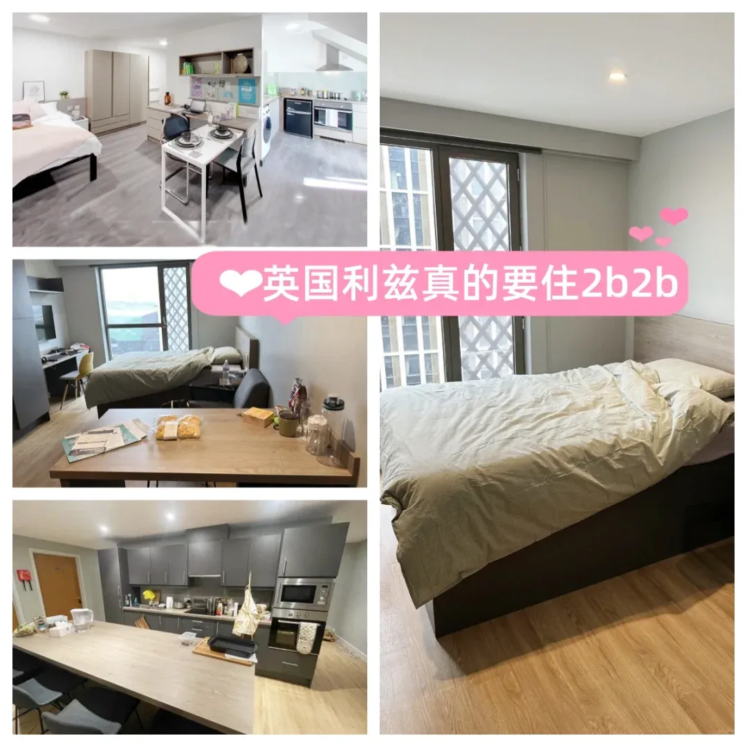 利茲有人找合租2b2b嗎🙋‍♀️