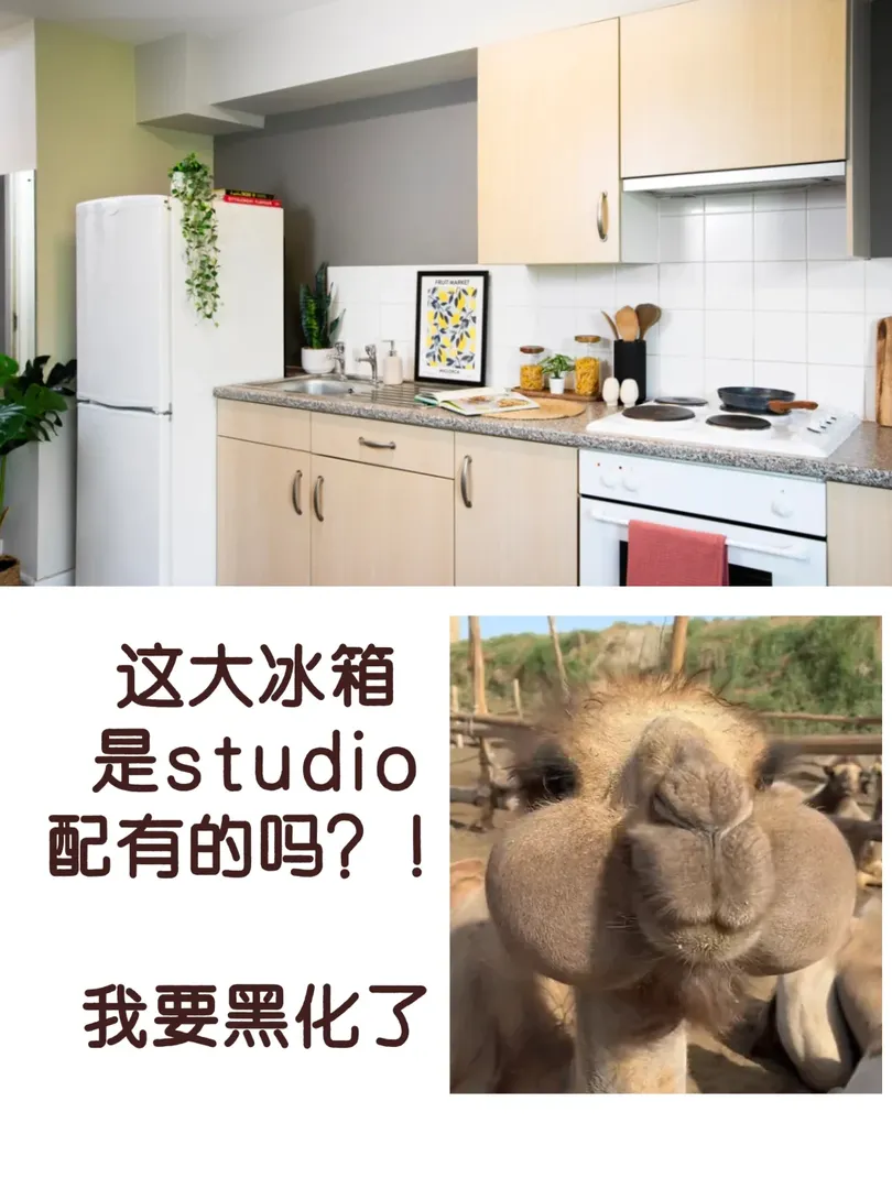 倫敦studio🈶這麼大的冰箱？我不是看錯了