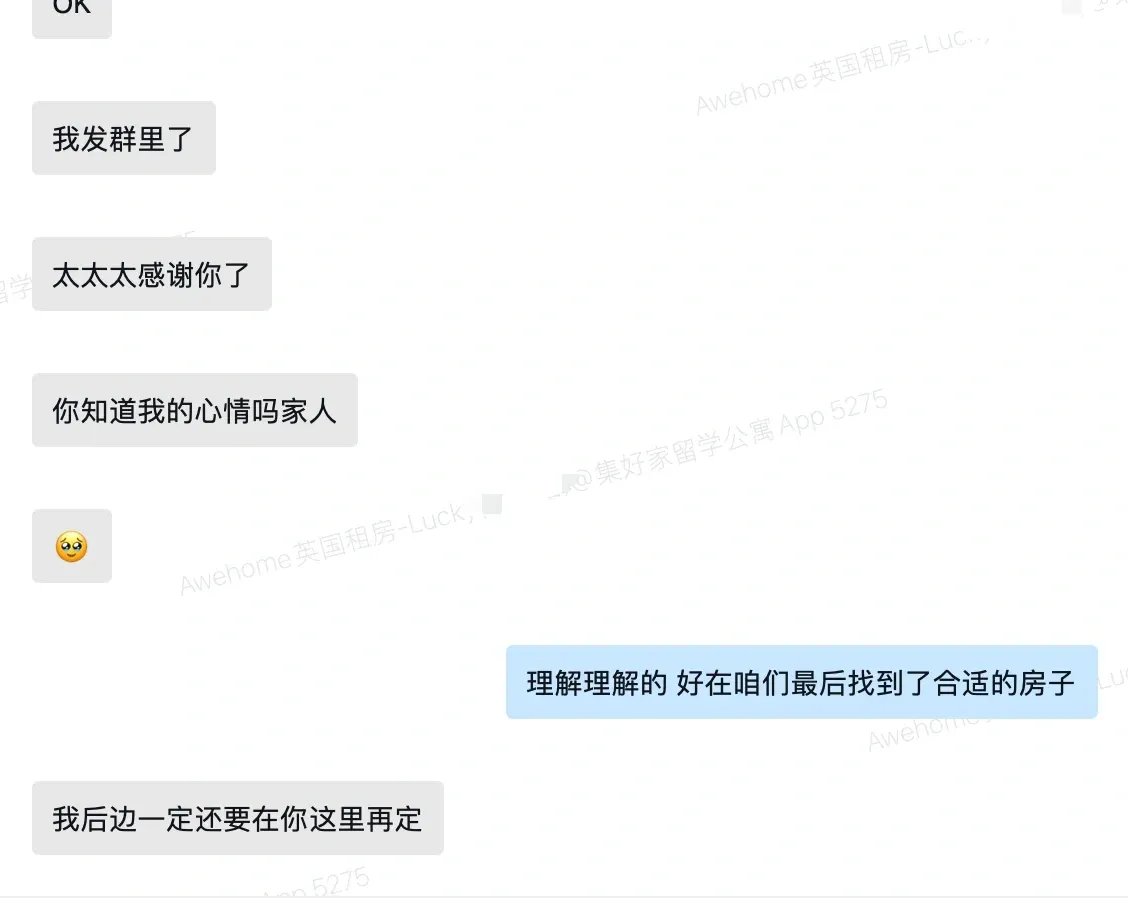 留子天崩開局 
