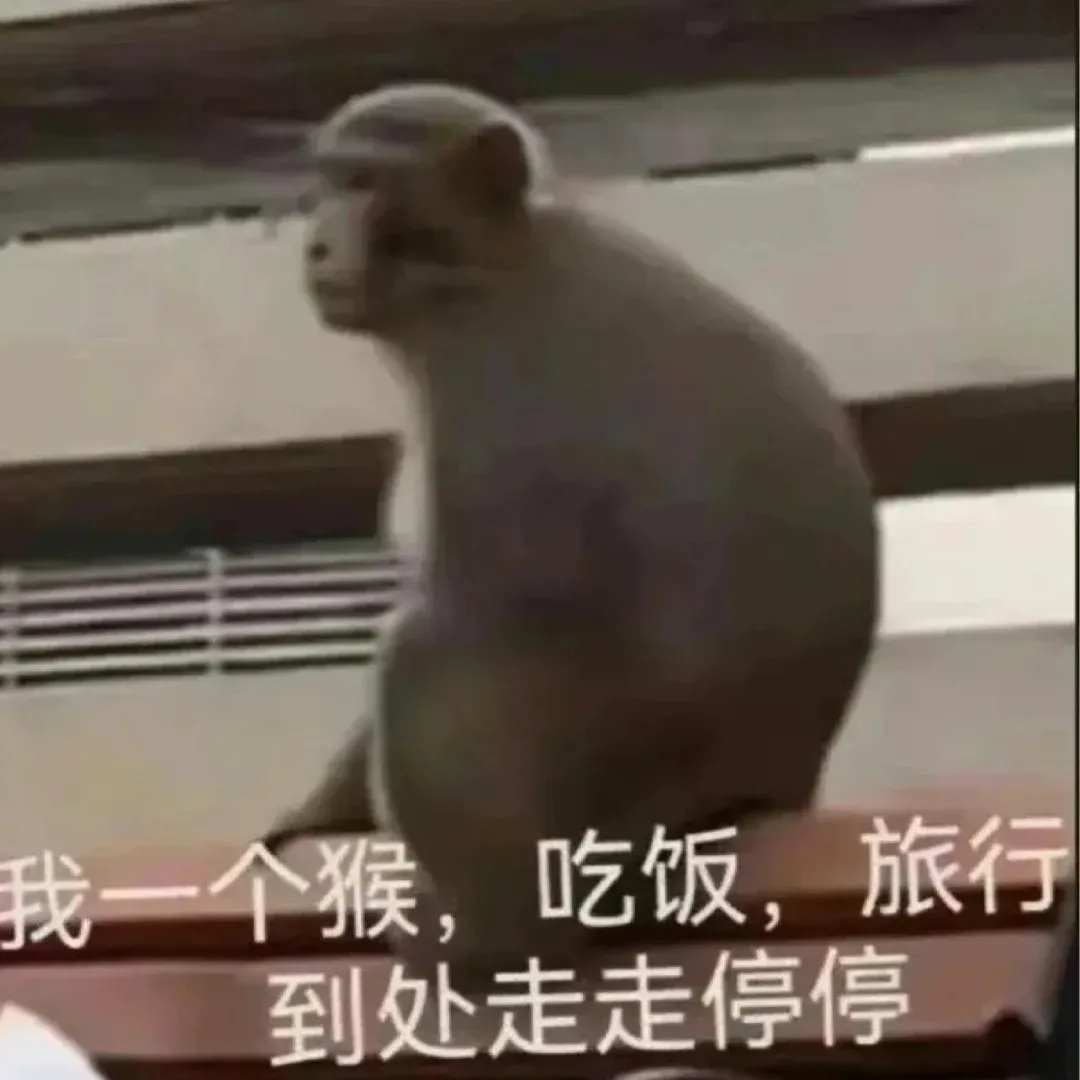 什麼？你還沒找到曼大25fall組織！