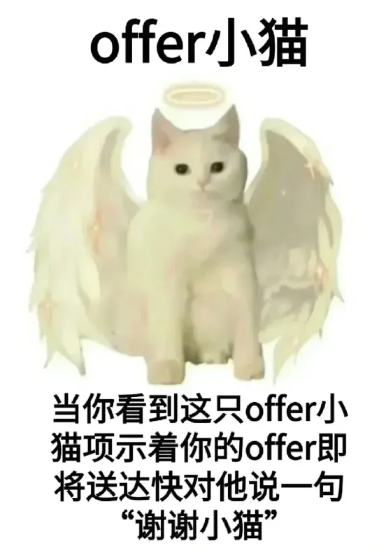 謝謝offer小貓，接offer，我接接接