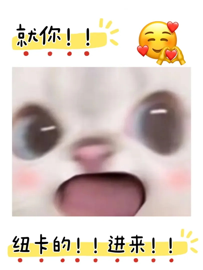 🇬🇧oi 紐卡的！就你！進來
