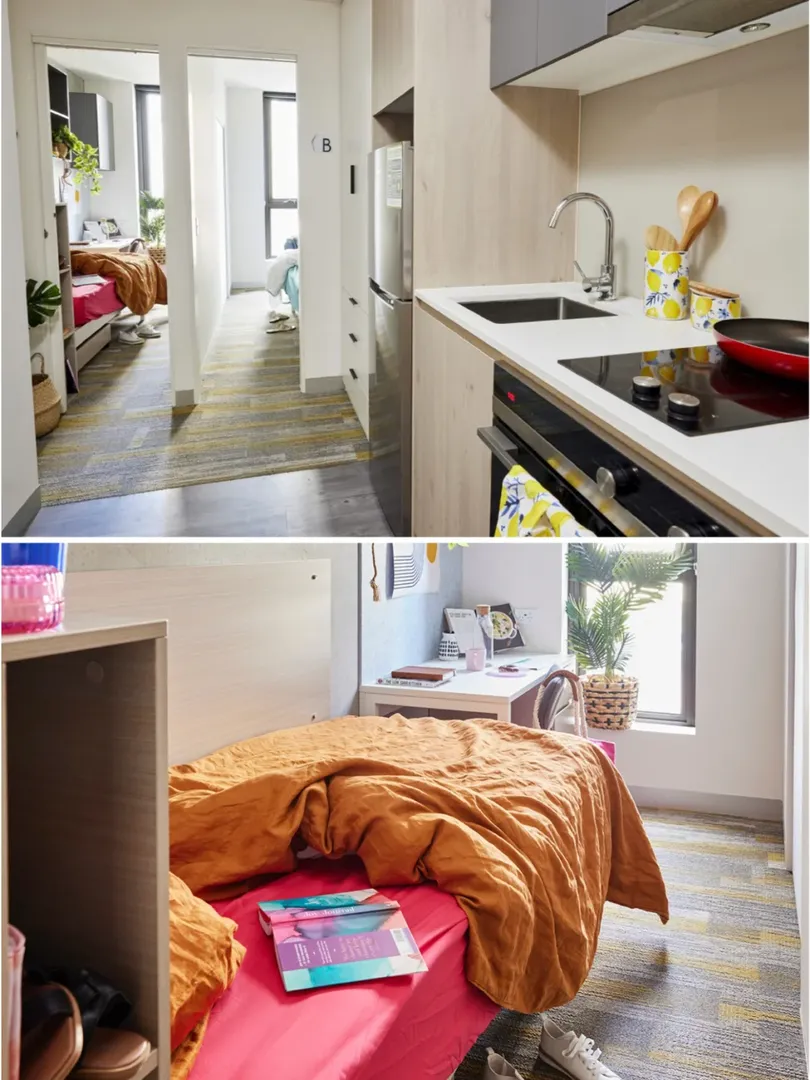 墨爾本2b🏠找室友