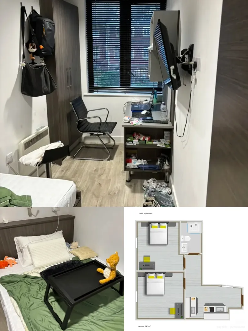 重生之25fall布里斯托找室友