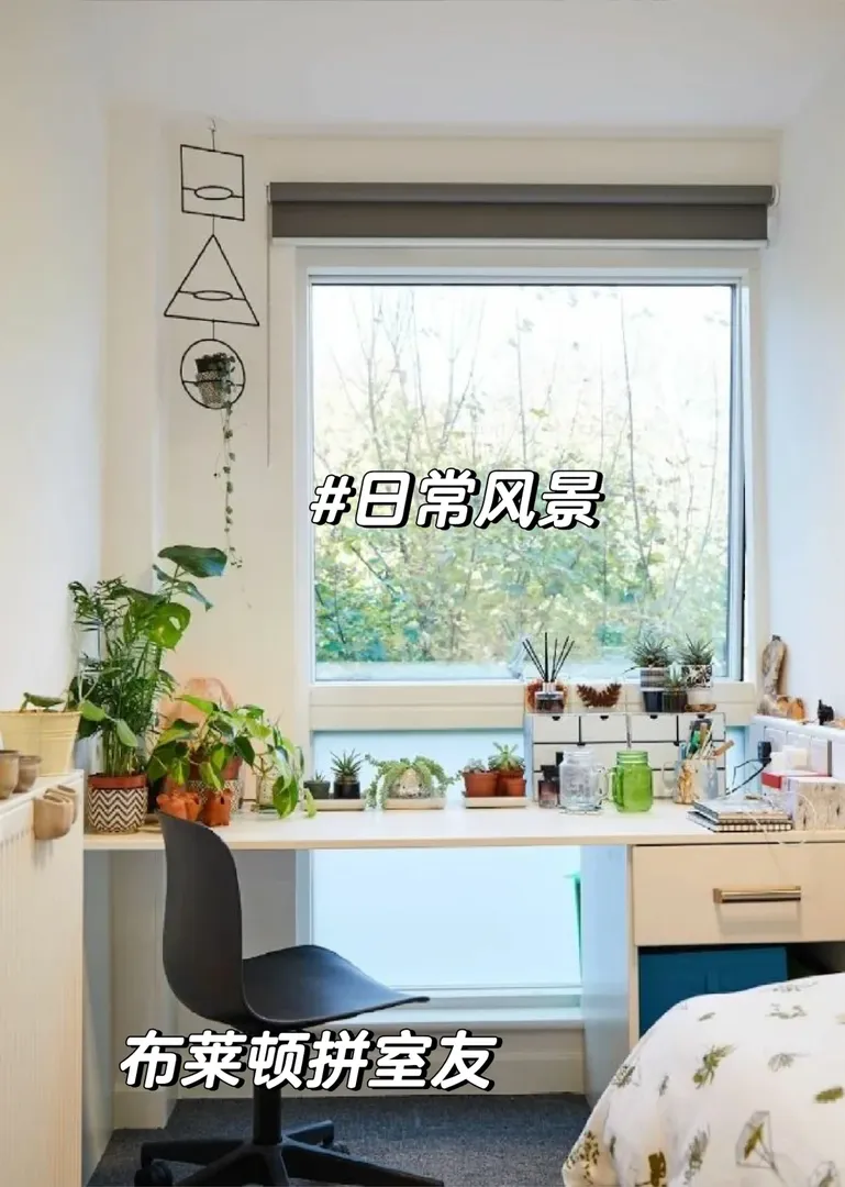 不捲了 布萊頓25fall拼室友~