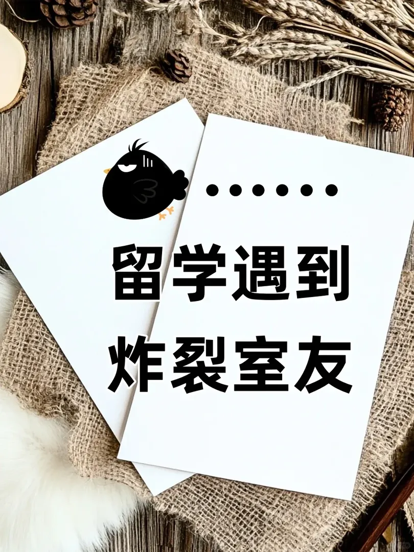 墨爾本拼室友｜前合租遇到炸裂室友，難評！
