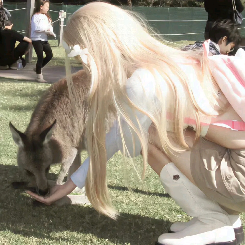 🇦🇺600➕自己🐷一室尊嘟很香❗️
