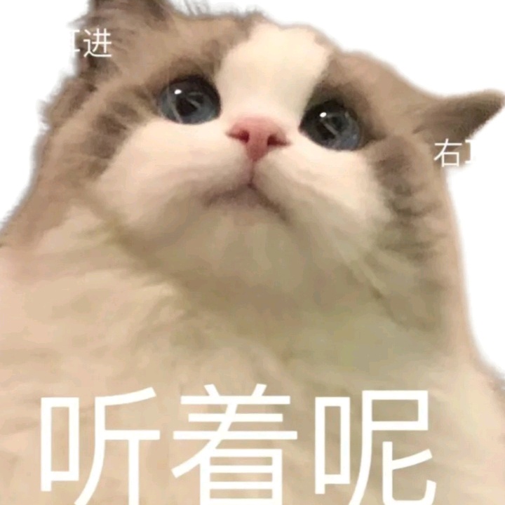 🇬🇧重生之我在伯明翰拥有自己的洗衣机