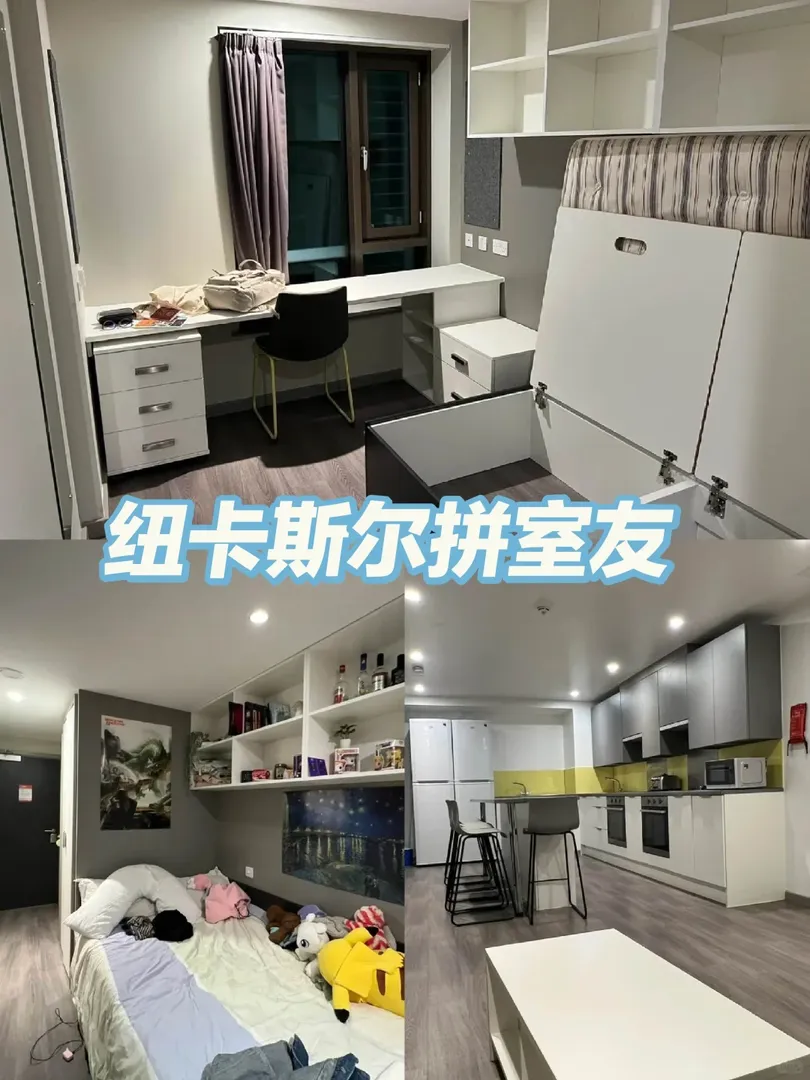 🇬🇧紐卡斯爾25fall拼室友啦