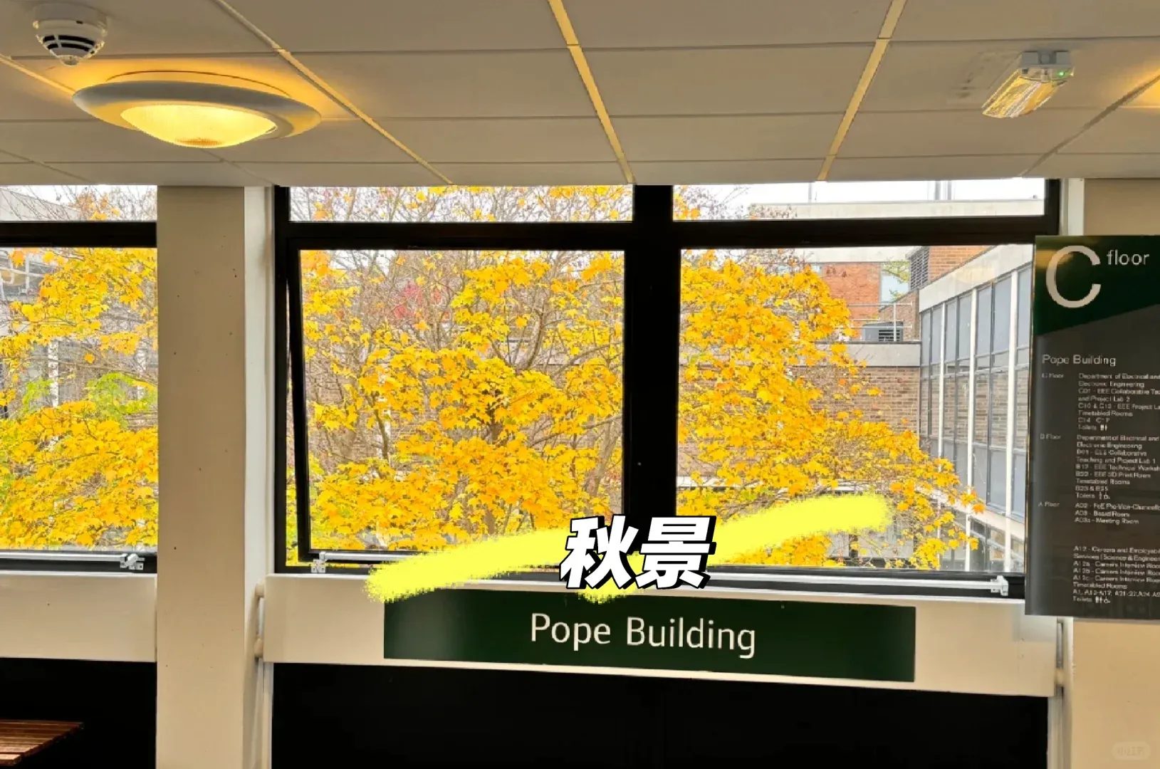 諾丁漢，這家🏠看景好美~