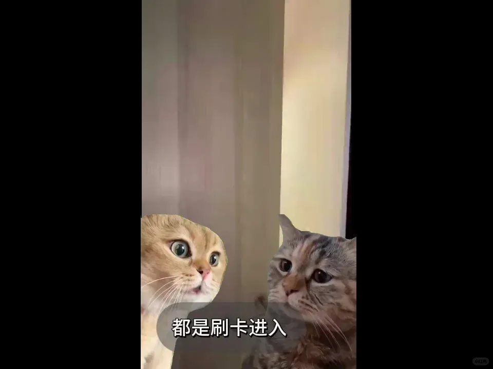 倫敦的Paddington轉租