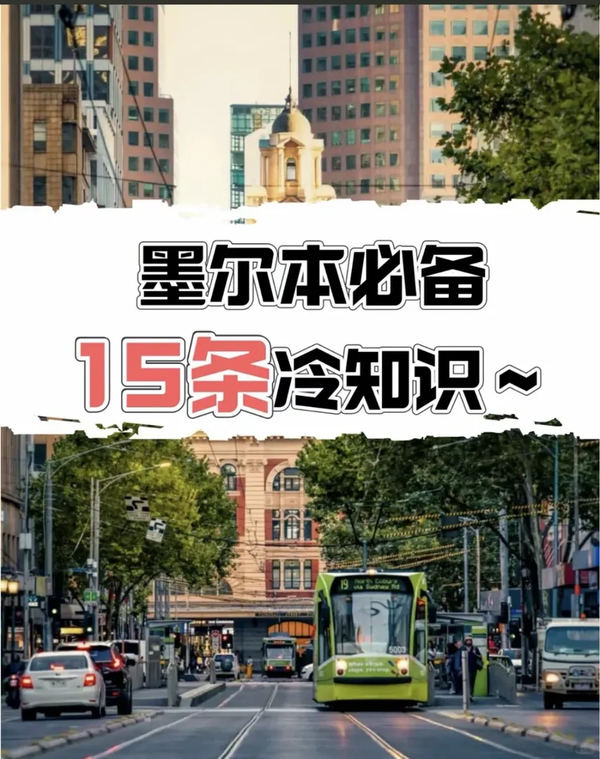 墨爾本留子速看❗️這些冷知識一定知道❗️