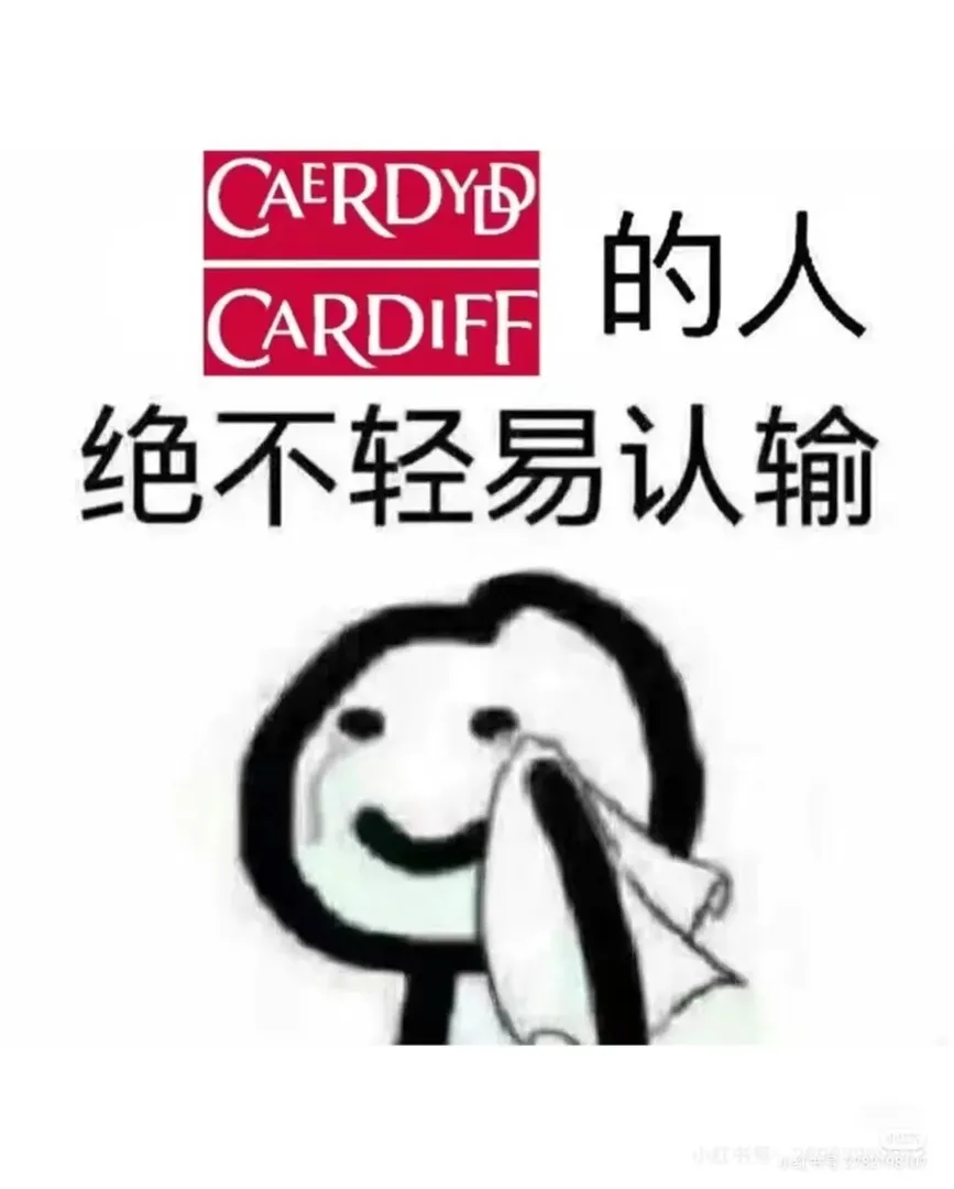 有卡迪夫的寶子嘛 