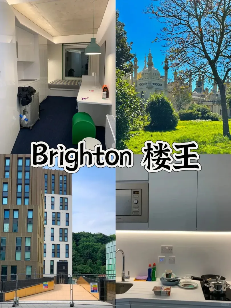 Brighton 樓王找25fallroommate~