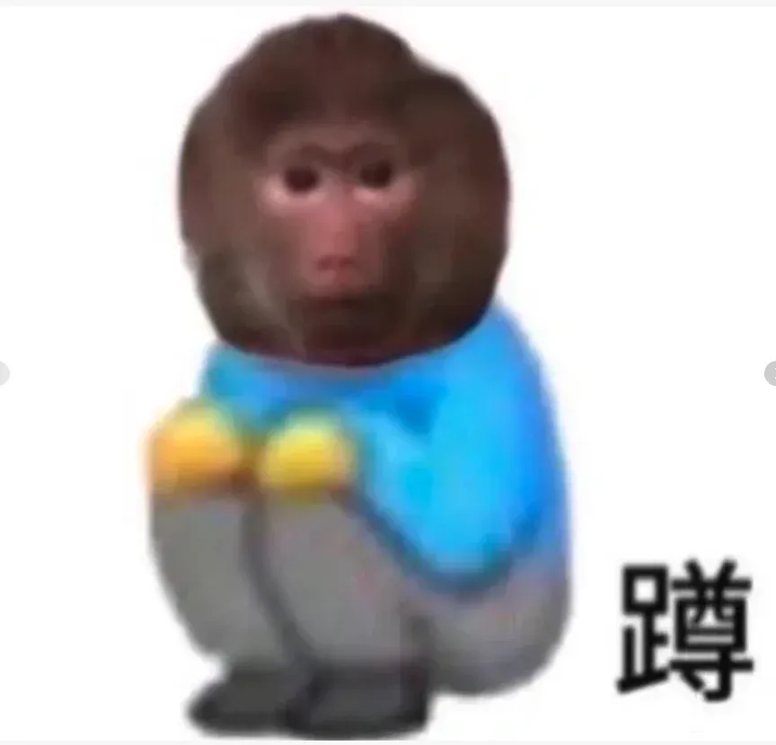 蹲布大🏠 